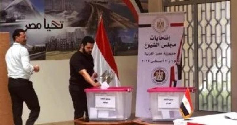 انتظام كبير في سير انتخابات مجلس الشيوخ بالسفارات والقنصليات المصرية