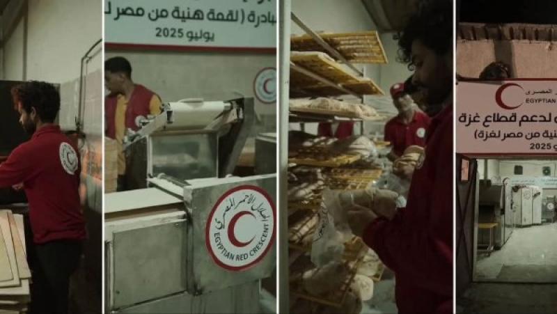 الهلال الاحمر المصري 