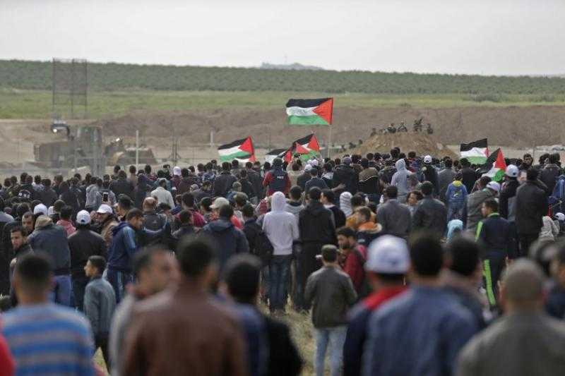 شنيكات: الأمن المصري يمتد لغزة وسوريا وإثيوبيا.. وتصفية القضية الفلسطينية خطر على المنطقة