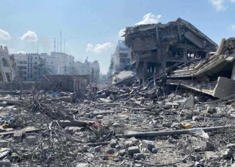 سياسي بريطاني: الوضع في غزة يتطلب التعامل مع كل ملف على حدة