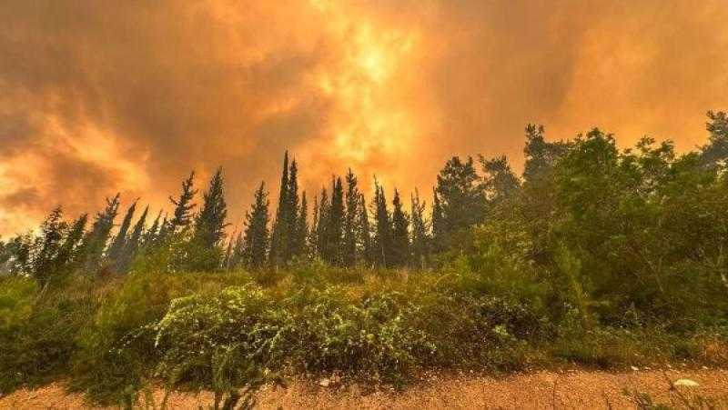 ألسنة اللهب تجتاح القارة العجوز.. حرائق ضخمة تضرب الاتحاد الأوروبي هذا الصيف