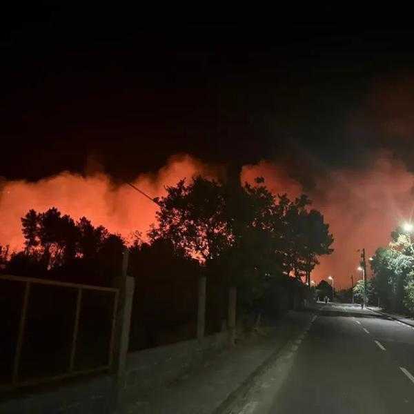 موجة حر تسفر عن 264 وفاة بالبرتغال وحرائق بإسبانيا