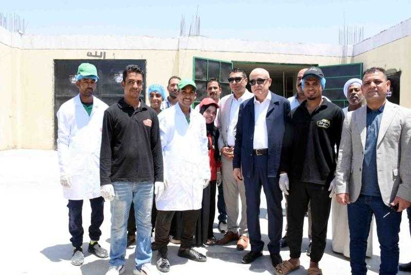 محافظ الأقصر يتفقد أعمال تنفيذ توصيل التغذية الكهربائية للمرحلة الثالثة بالمنطقة الصناعية بالبغدادي