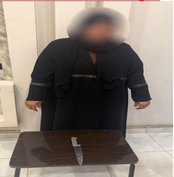 عقب تداول فيديو.. ضبط سيدة حاولت إتلاف سيارة نقل باستخدام سلاح أبيض في الشرقية