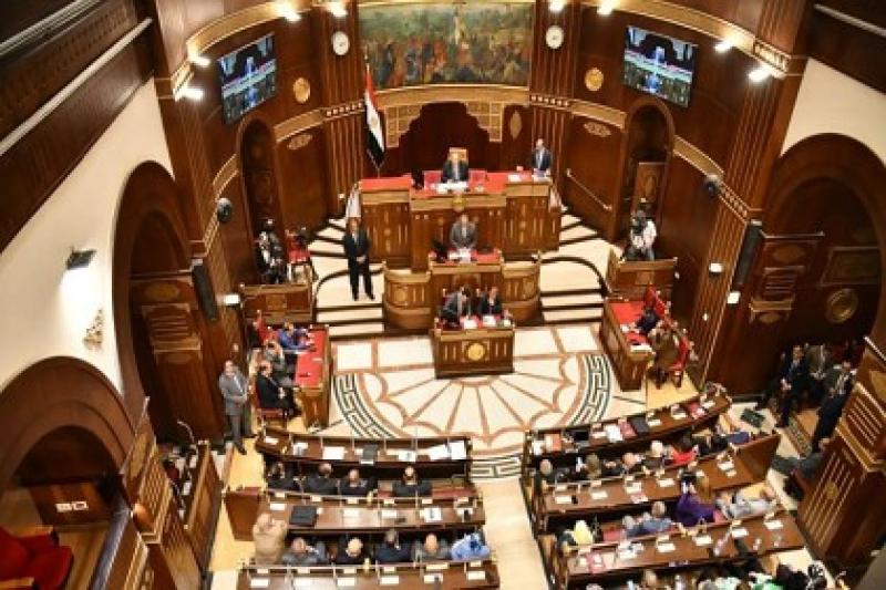 100 عضو يعينهم رئيس الجمهورية.. تعرف على شروط التعيين بمجلس الشيوخ