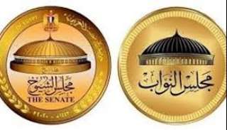أستاذ قانون دولي يوضح الفرق بين مجلس النواب والشيوخ