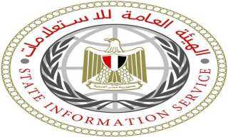 هيئة الاستعلامات: اهتمام إعلامي دولي بانتخابات مجلس الشيوخ