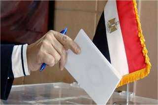 لوطنية للانتخابات: وعي الناخبين في انتخابات 2025 يكتب مشهدًا ديمقراطيًا متطورًا