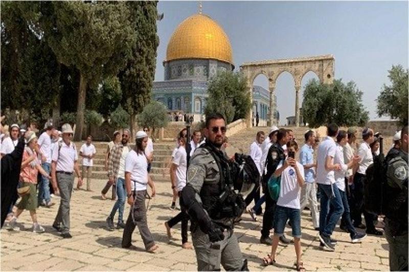 مستوطنون يقتحمون باحات الأقصى تحت حماية شرطة الاحتلال ويؤدون طقوسًا تلمودية