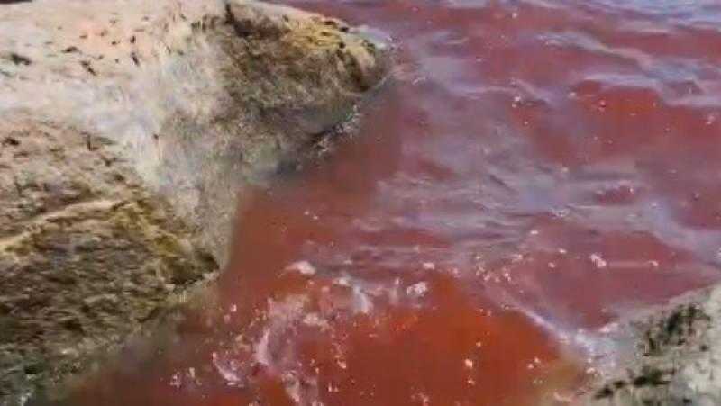 لغز صادم في طبريا.. المياه تتحول للون الدم والخبراء يحققون | فيديو