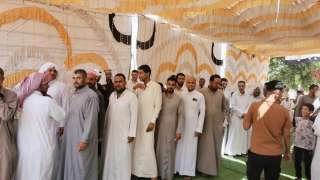 الإعلام الدولي: انتخابات «الشيوخ» جسدت مناخ الاستقرار في مصر