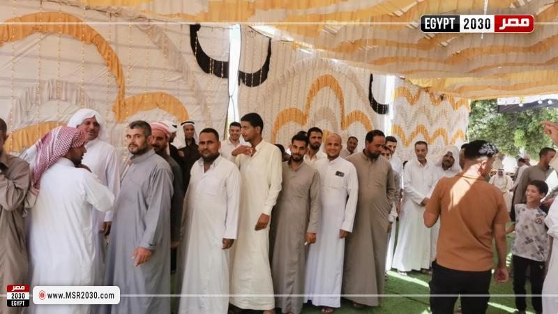 لجان انتخابات مجلس الشيوخ 2025