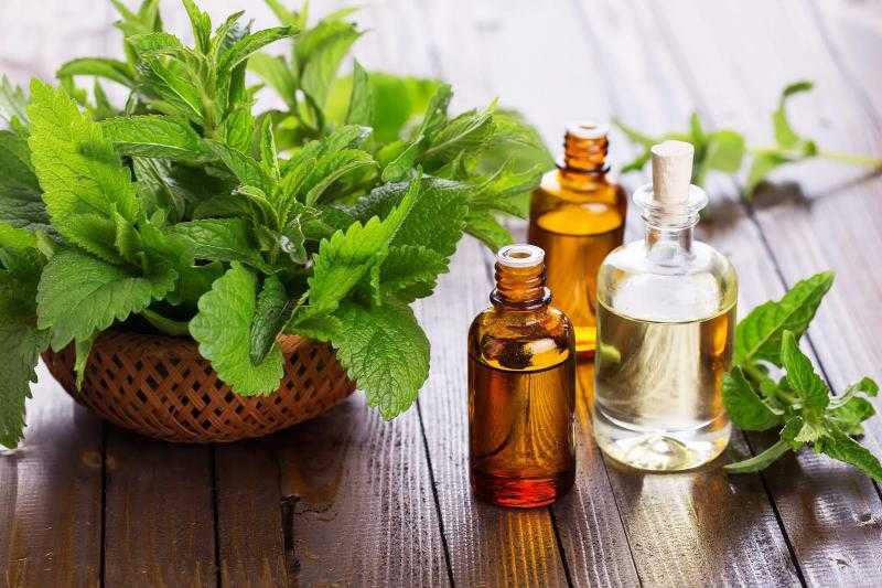 للنساء.. طريقة استخدام زيت شجرة الشاي لعلاج عدوى الخميرة