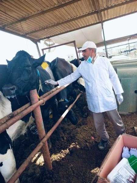 الزراعة تواصل جهود الكشف المبكر والسيطرة على الأمراض المشتركة خلال يوليو