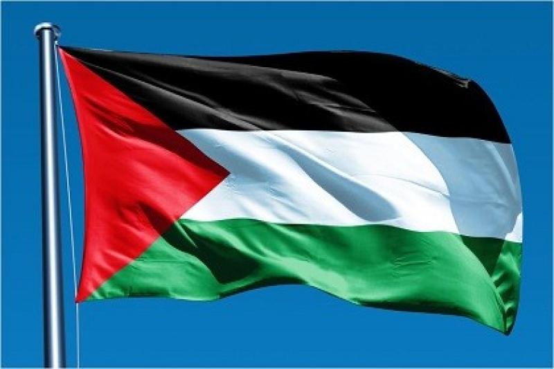 أبوشامة: السيسي حسم الجدل بشأن المعبر.. والملف الفلسطيني يزداد تعقيدًا