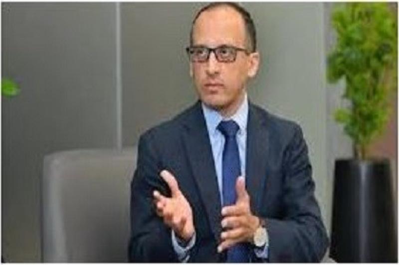  المستشار محمد الحمصاني