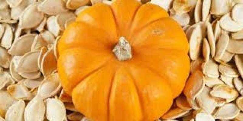يحسن من صحة القلب ويساعد على النوم.. كل ما تود معرفته عن فوائد بذور اليقطين