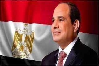مصر وتركيا تؤكدان رفضهما لقرار إعادة الاحتلال العسكري لقطاع غزة