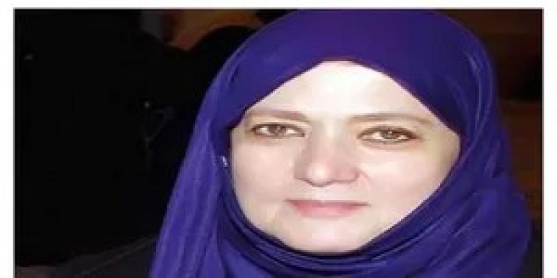 شمس البارودي 