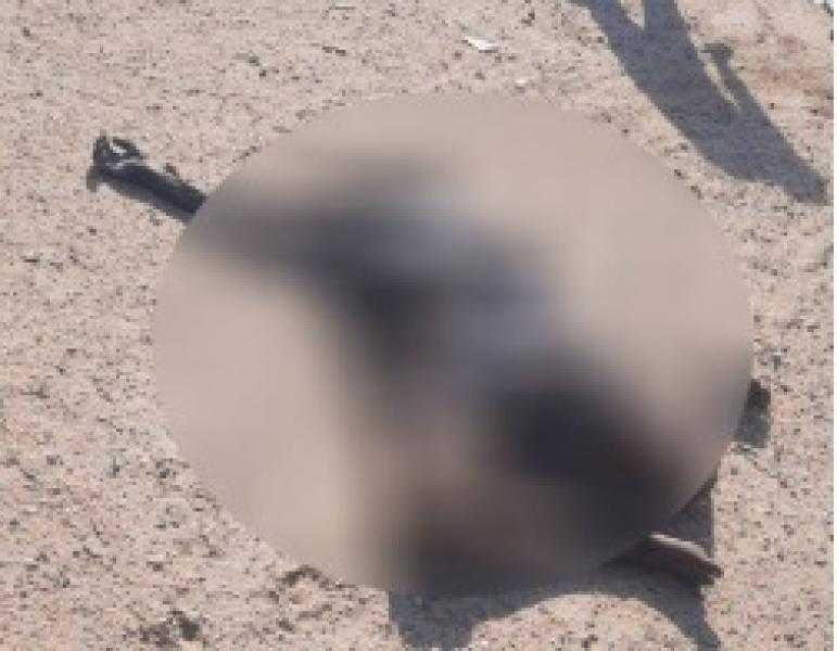 العثور على جثتي شابين مقيدين ومحترقين بجوار مقابر طريق الفيوم الصحراوي
