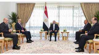 خبير: لقاء السيسي ووزير خارجية تركيا يعكس رفضًا مشتركًا لتهجير الفلسطينيين ودعمًا عربيًا موحدًا