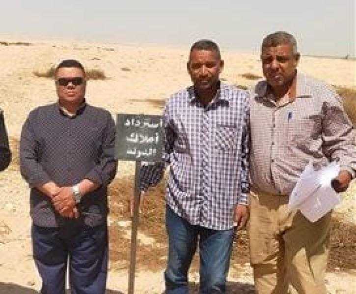 إزالة تعديات على أملاك الدولة والزراعات بمساحة تتجاوز 81 فدانًا في أرمنت بالأقصر