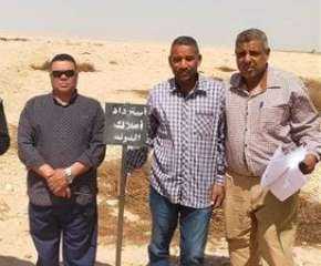 إزالة تعديات على أملاك الدولة والزراعات بمساحة تتجاوز 81 فدانًا في أرمنت بالأقصر