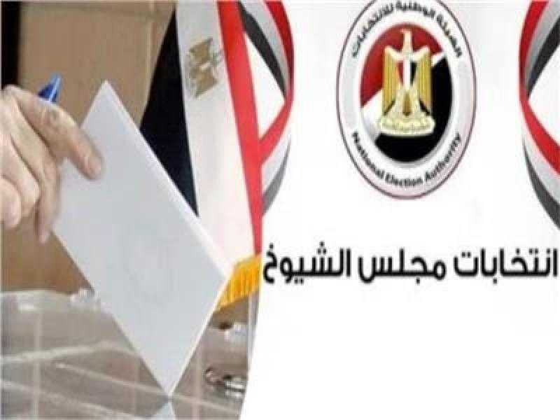 دائرة الجيزة.. أسماء المرشحين الفائزين في انتخابات مجلس الشيوخ 2025 للنظام الفردي