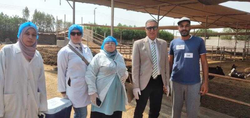 الزراعة تكشف تفاصيل حماية الثروة الحيوانية من العترة الجديدة لفيروس الحمي القلاعية
