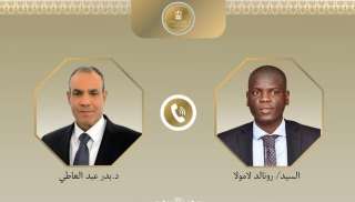 وزير الخارجية يؤكد رفض الإجراءات الأحادية المخالفة للقانون الدولي في حوض النيل الشرقي