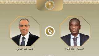 وزير الخارجية يؤكد رفض الإجراءات الأحادية المخالفة للقانون الدولي في حوض النيل الشرقي