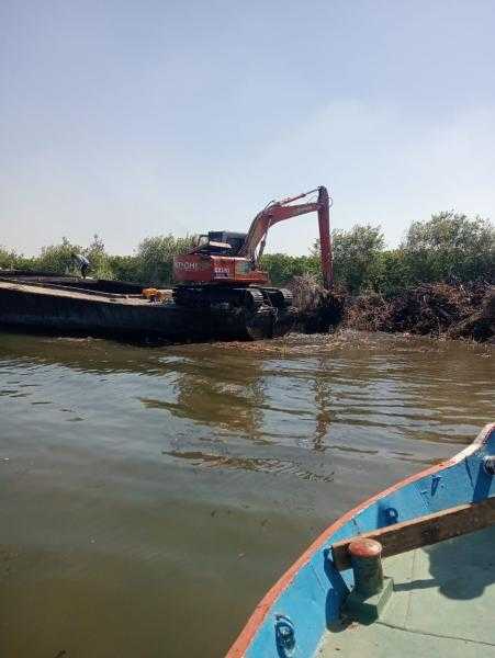 مصر تحتفل بـ ”عيد وفاء النيل”.. تقدير لتاريخ النهر ودوره في بناء الحضارة