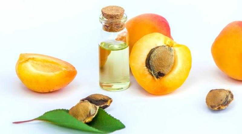 ضع زيت بذور المشمش على بشرتك وستدهشك النتيجة