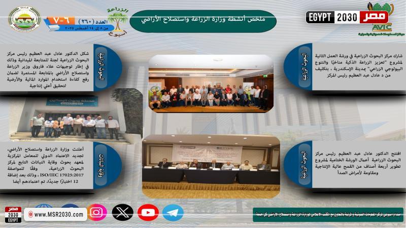 الانفوجراف