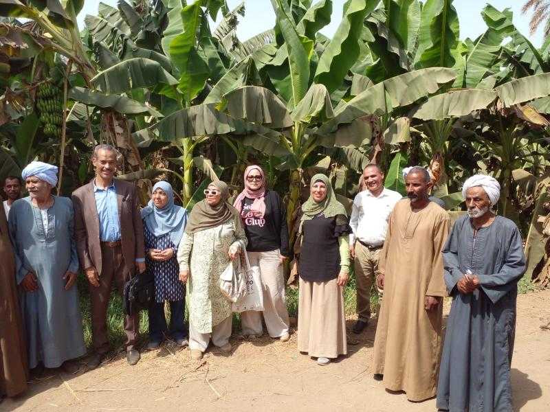 تحت رعاية محافظ قنا.. ندوة توعوية حول تدوير مخلفات الموز بقرية دندرة