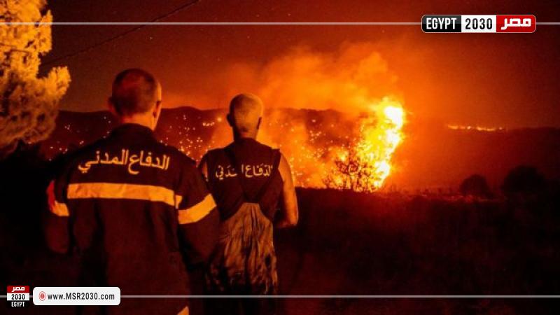صورة أرشيفية