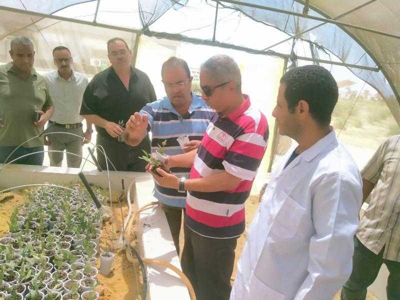 بحوث الصحراء يواصل جهود وتجارب توفير الأعلاف بديلة بالاعتماد على المخلفات الزراعية والنباتات الملحية بجنوب سيناء