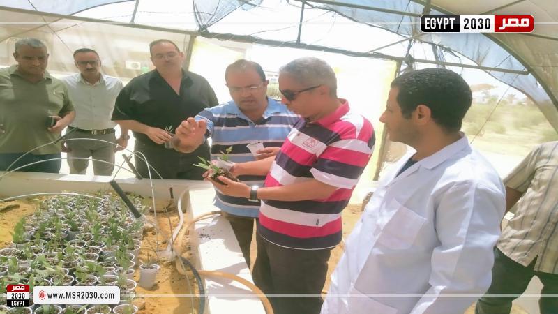 بحوث الصحراء 