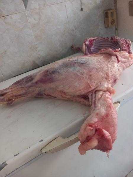 محافظ أسيوط: ضبط لحوم وسلع غذائية فاسدة وتحرير 382 محضرًا خلال حملات رقابية على الأسواق