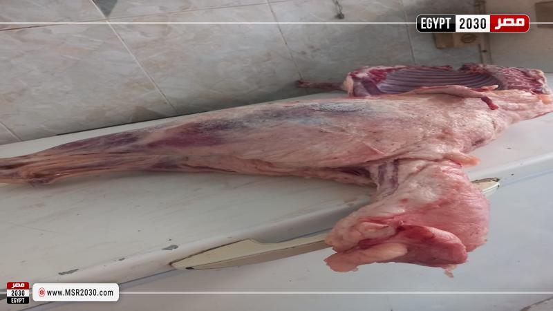 محافظة أسيوط 