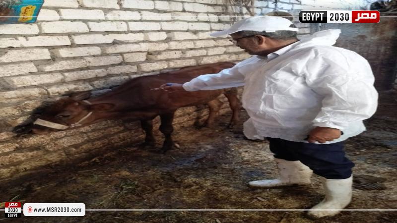 محافظة الإسماعيلية