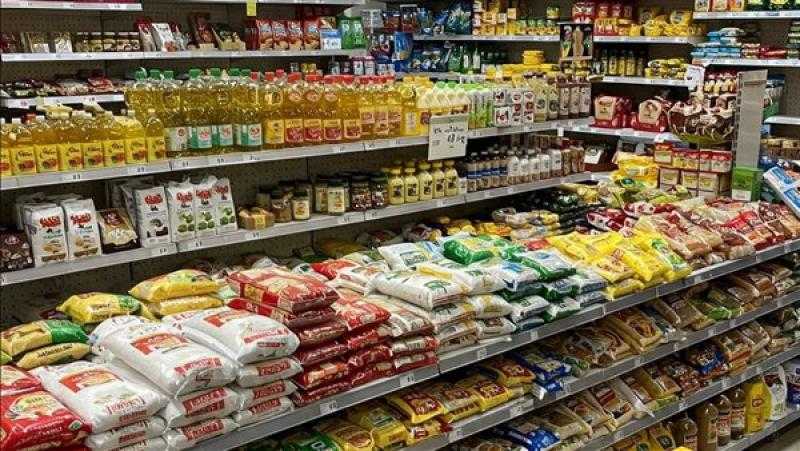 استقرار الأسعار بالأسواق وخطة حكومية لتوسيع المعارض