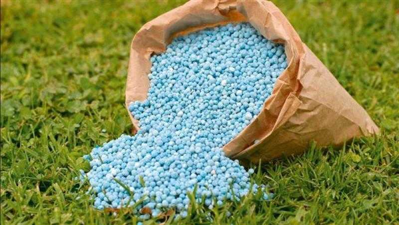 الحكومة: الدولة تتحمل 70 مليار جنيه لتوفير الأسمدة للمزارعين بأسعار مناسبة