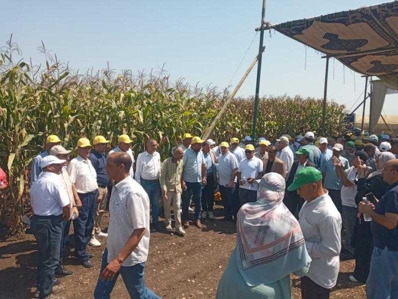 الزراعة تتابع الحقول الارشادية وتشهد فعاليات يوم الحقل السنوي للذرة الشامية