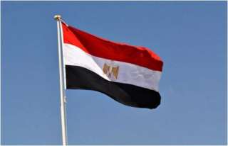 مصر ترحب بالجهود الدولية لإحلال السلام في أوكرانيا