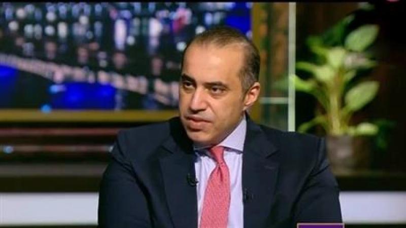 المستشار محمود فوزي 