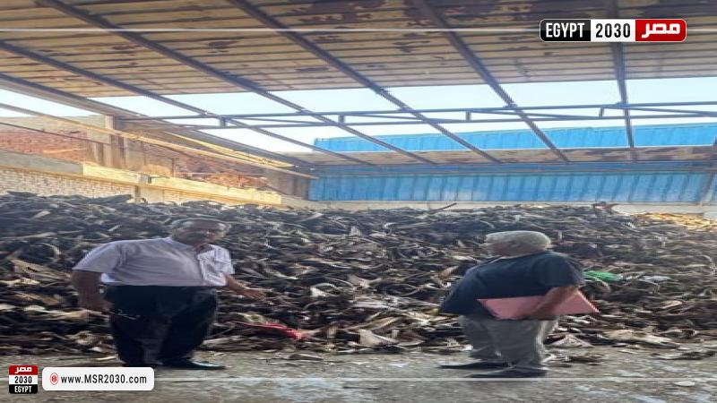 تموين بلبيس بمحافظة الشرقية 