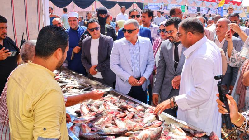 محافظ الإسماعيلية 