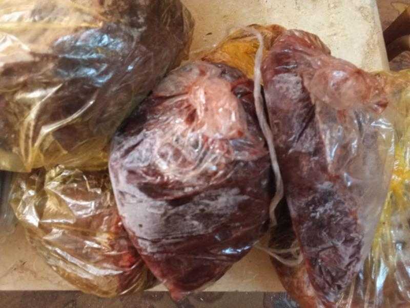 محافظ أسيوط: ضبط لحوم وسلع غذائية فاسدة وتحرير 260 محضرًا في حملات تموينية مكثفة