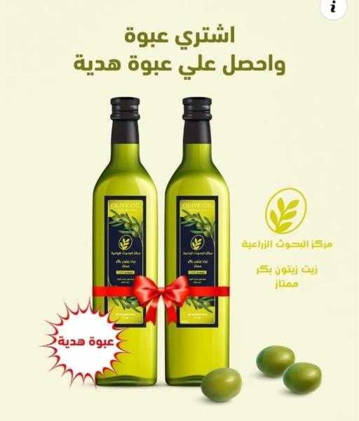 مركز البحوث الزراعية يكشف حقيقة اعلانات منتجات زيت الزيتون المتداولة على مواقع التواصل الإجتماعي